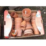 A collection of assorted terracotta plant pots