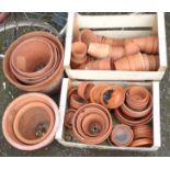 Two boxes of terracotta plant pots - various sizes