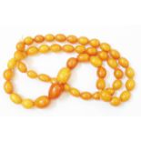 A graduated honey amber bead necklace