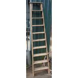 An old painted pine ladder - length 7' 2"