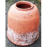 A terracotta rhubarb forcer - height 13"