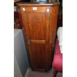 An 18 1/2" free standing polished oak corner cabinet with canted sides and panelled door