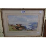 Tom Rowden: a gilt framed watercolour, depicting cattle on a cliff top with sea in background -