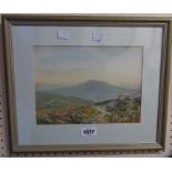 A framed watercolour, depicting a Dartmoor view with flowering heather and track in foreground