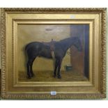 Mabel Allnutt: an ornate gilt framed oil on canvas equestrian portrait of a chestnut horse "Sweep"