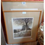 Kathleen Caddick: a pair of framed limited edition coloured prints, one entitled Beech Wood 73/250