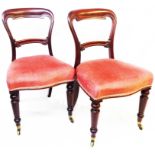 Five matching Victorian Gillow's mahogany framed balloon back dining chairs with scroll rails and