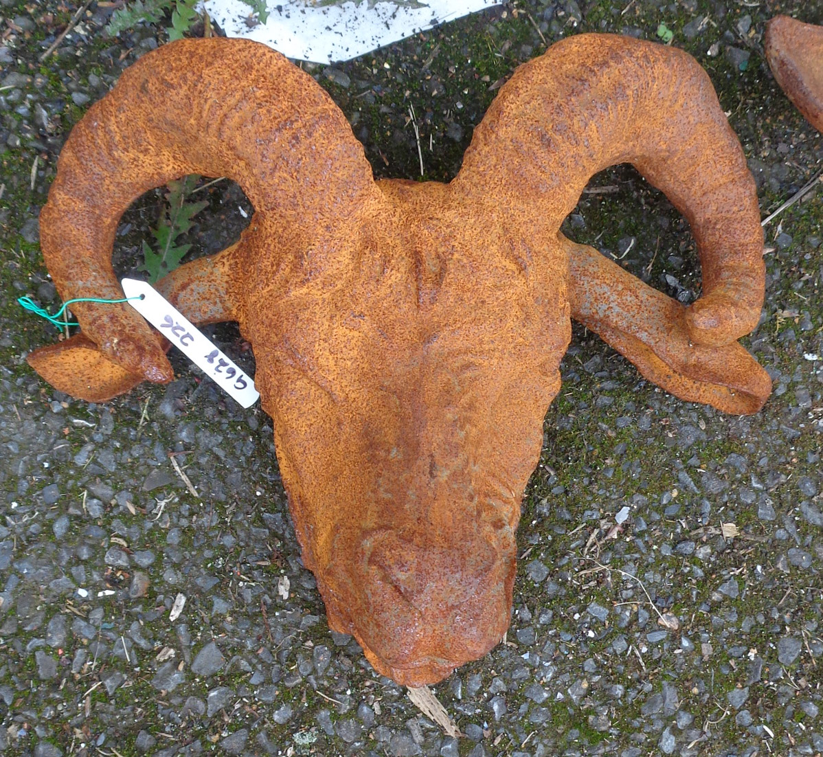 A cast iron garden ram's head with rusted finish