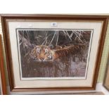 Stevan Townsend: a framed limited edition coloured print depicting a tiger in water - signed in