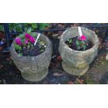 A pair of small concrete garden planters