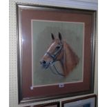 Annette Rayner: a framed mixed media study of a horse's head, signed and dated 1985