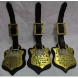 Three early 20th Century brass and white metal R.S.P.C.A. Van Horse Parade Merit Badges on