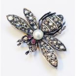 A 1 1/4" wingspan Victorian insect pattern brooch encrusted with old cut and rose diamonds,
