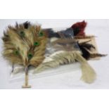 A feather fan with bone handle - sold with various vintage feathers including ostrich and pheasant
