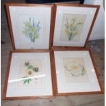 A pair of framed antique floral study prints - sold with two amateur Gardening Plates