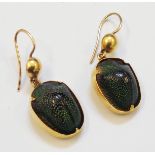 A pair of yellow metal mounted natural Jewel Beetle drop ear-rings