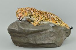 ROYAL DOULTON 'LEOPARD ON ROCK' FIGURE FROM PRESTIGE SERIES, HN2638, approximate length 43cm x