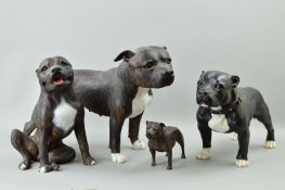 FOUR NORTH LIGHT STAFFORDSHIRE BULL TERRIERS, to include three limited editions, seated No101,
