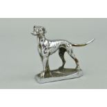 A CHROME PLATED CAR MASCOT cast in the form of a greyhound, approximate height 7.5cm x length 9cm