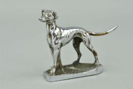 A CHROME PLATED CAR MASCOT cast in the form of a greyhound, approximate height 7.5cm x length 9cm