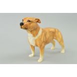 A ROYAL DOULTON FIGURE 'Staffordshire Bull Terrier', style two, DA101