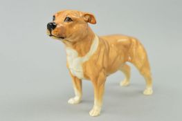 A ROYAL DOULTON FIGURE 'Staffordshire Bull Terrier', style two, DA101