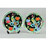A PAIR OF JAPANESE PLATES, polychrome decoration depicting bird amongst trees, on black ground,