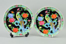 A PAIR OF JAPANESE PLATES, polychrome decoration depicting bird amongst trees, on black ground,