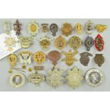 A PLASTIC ENVELOPE CONTAINING TWENTY EIGHT WWI ERA CAP BADGES AND DEVICES, all believed original
