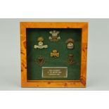 A SMALL GLAZED FRAME CONTAINING A SMALL COLLECTION OF BELIEVED TO BE ORIGINAL IRISH REGIMENT WWI