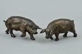SUE MACLAURIN, two bronze pig sculptures, one with it's head to the right, one with it's head to the