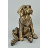 A LARGE FRITH SCULPTURE 'Truffle' HD068, depicting seated dog with tongue hanging out