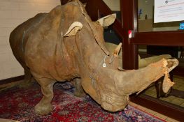 A LARGE MOULD MODEL OF A LIFE SIZE RHINO, approximate length 390cm x width 112cm x height 172cm (