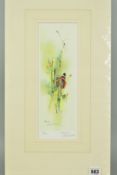 MARION HARBINSON 'RED ADMIRAL ON CATKINS', a limited edition print 86/750 signed in pencil, mounted,