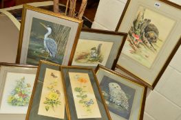 JANET WHITTAKER (BRITISH 20TH CENTURY), a parcel of watercolour paintings of animals and insects