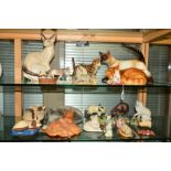 A COLLECTION OF ORNAMENTAL CATS to include Goebel, Border Fine Arts, Suzie Marsh, Aynsley, a