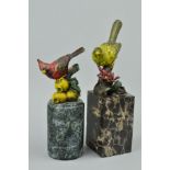 TWO PAINTED BRONZE BIRDS, on marble bases, approximate tallest height 30cm (including plinths) (2)