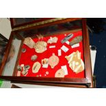 A TABLE TOP DISPLAY CASE containing various fossils and oddments, display has lift up hinged lid,