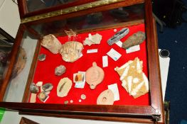 A TABLE TOP DISPLAY CASE containing various fossils and oddments, display has lift up hinged lid,