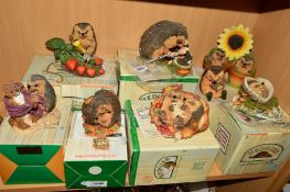 SEVEN BOXED AND ONE LOOSE COUNTRY ARTISTS 'HEDGIES' SCULPTURES to include 'Scrubba Dub' No91027, '