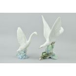 A LLADRO 'TURTLE DOVE' No4550, designed by Fulgencio Garcia, approximate height 28.5cm, together
