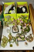 A SMALL GROUP OF ORNAMENTS, PICTURES AND 'HOTTER' LADIES SHOES, to include Bonsai trees, Waterford