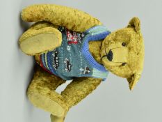 A SAGE PLUSH TEDDY BEAR, glass eyes, vertically stitched nose, long shaved muzzle, jointed body,