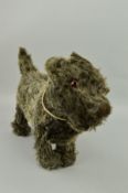 A CHAD VALLEY TERRIER, two tone black/grey, glass eyes, vertical stitched nose, Hygenic Toys label