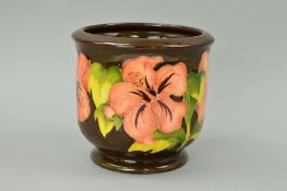 A MOORCROFT POTTERY JARDINIERE, 'Hibiscus' pattern on brown ground, impressed backstamp, painted