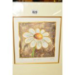 KELLY JANE 'GOLDEN DAISY', a limited edition print 29/500, signed and titled in pencil, mounted,