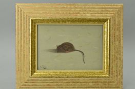 LEO PORS (DUTCH 1952), an oil on board study of a mouse/fieldmouse, signed bottom left, signed and