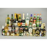 A COLLECTION OF TWENTY THREE BOTTLES OF WINE, BEER AND SPIRITS, to include a 1 litre bottle of