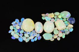 A LARGE COLLECTION OF ASSORTED OPALS, various cuts and sizes, total weight approximately 73.14ct