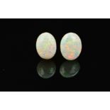TWO OPAL OVAL CABOCHON CUT STONES, measuring 16mm x 12mm, total weight 12.57ct, grey base colour